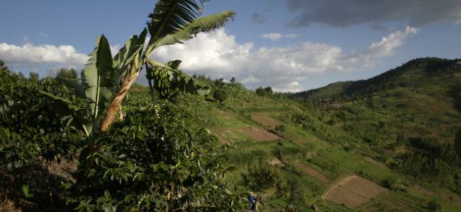 Rwanda: Let’s Join Hands to Tackle Climate Change
