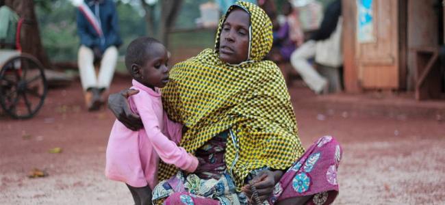 Only 20% of FAO humanitarian appeals covered