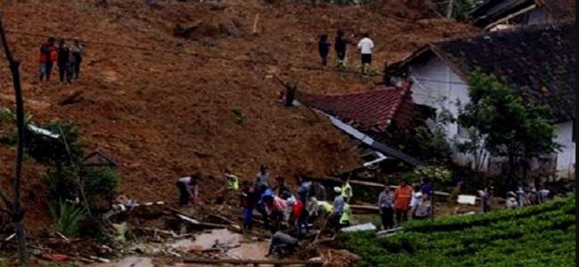 7 Indonesian workers killed by landslip in Papau