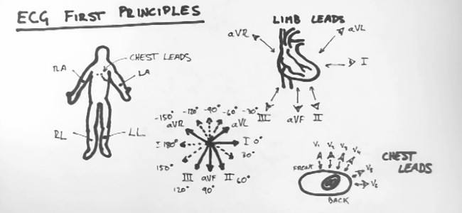 ECG First Principles from Handwritten Tutorial Video