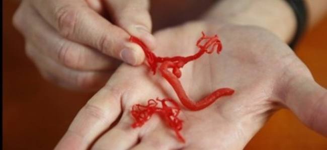 Artificial blood vessels created with a 3D bio-printer tecnology