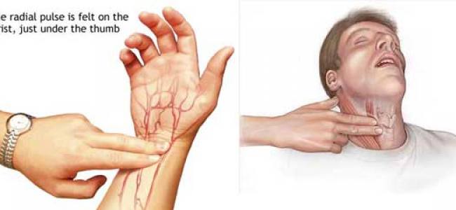 Training Skills: Do You Feel Me?