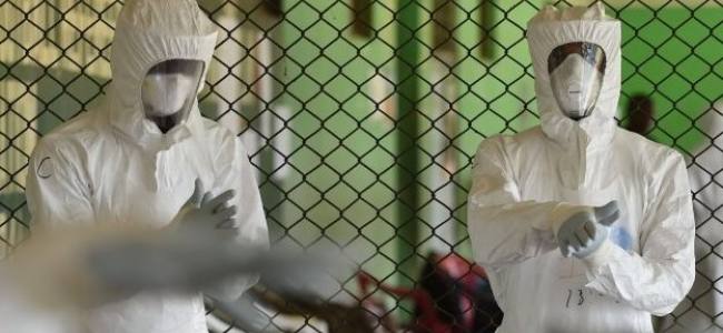 Ebola outbreak: MSF to start West Africa clinical trials