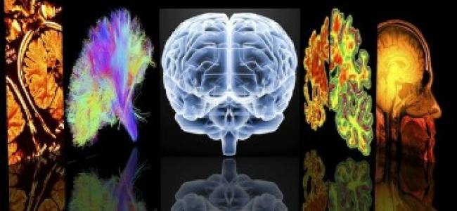 Dementia study questions advice on taking supplements