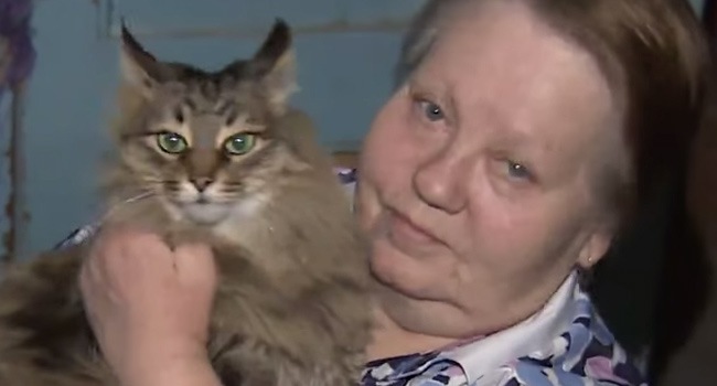 Russia: Masha the stray cat hailed for saving newborn baby abandoned in freezing hallway