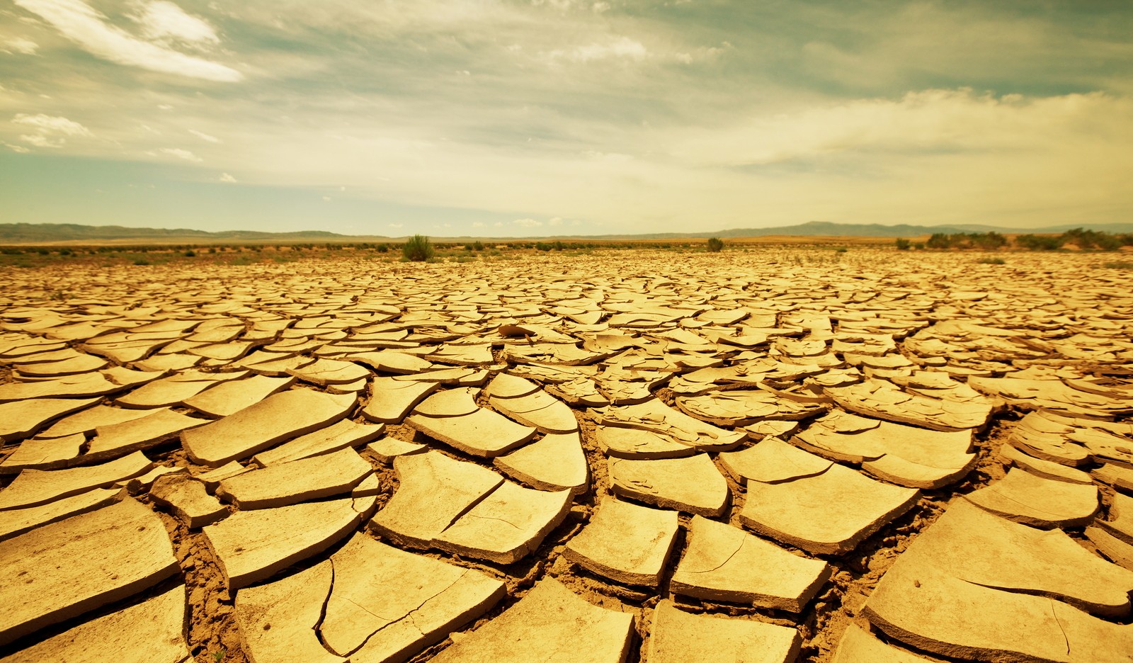 4 Tips to Survive and Adapt to the Heat