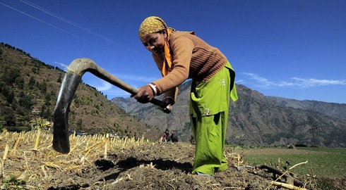 Towards a better understanding of food security, gender equality and peace-building