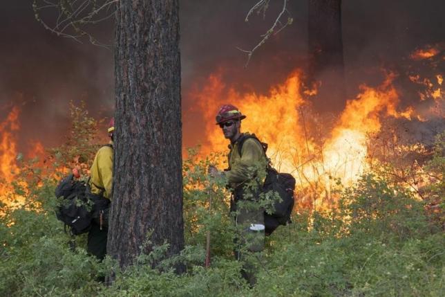 Wildfire in Washington Report: Winds Shifted Minutes Before Firefighters Killed