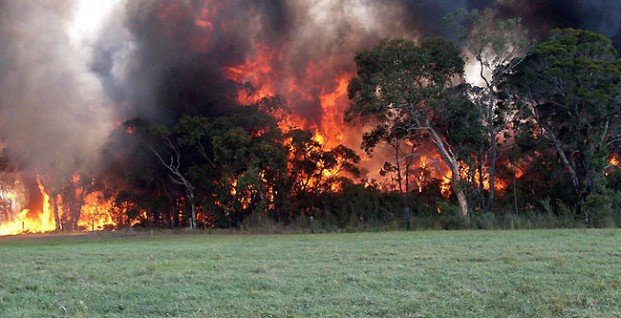 How to prevent wildfires? The Australian Guidelines for burning vegetation