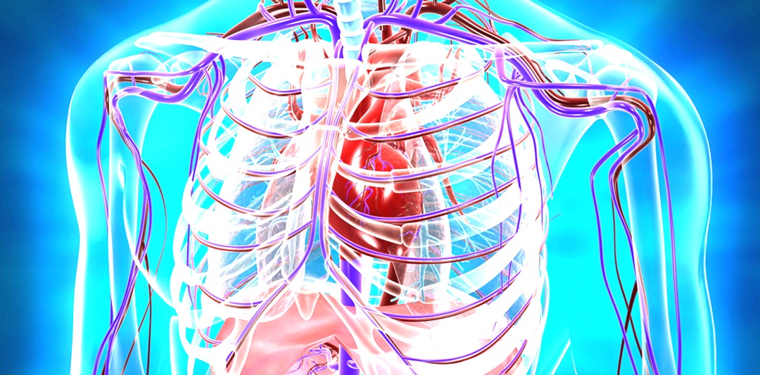 2015 ACLS Guidelines: What happened to VSE?