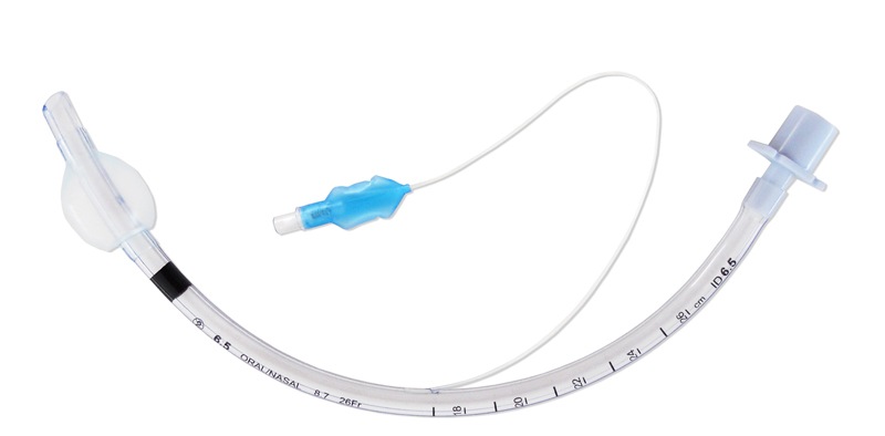 endotracheal tube
