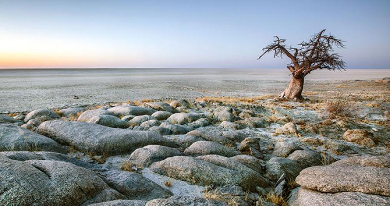 Understanding vulnerability and adaptation in semi-arid areas in Botswana