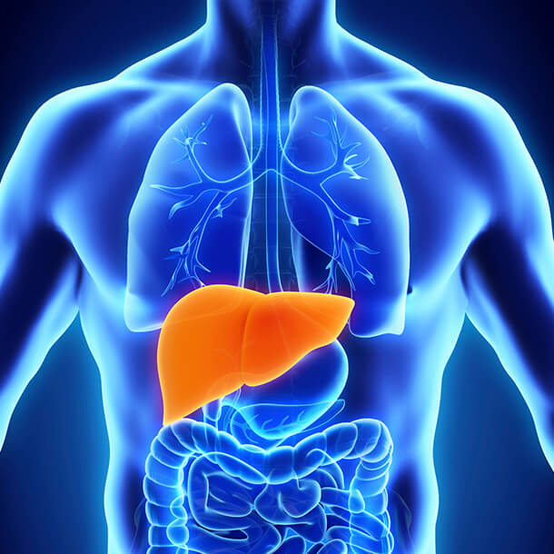 Hepatitis B and C testing – The World Health Organization guidelines