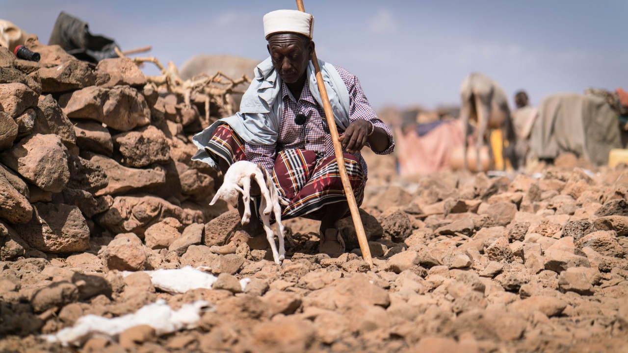 WHO establishes an Emergency Hub in Nairobi, Kenya