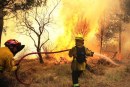 Incendi boschivi: oggi 29 richieste d’intervento aereo