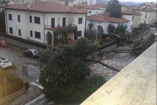 Maltempo, 2 morti in Toscana - le foto dal web | Emergency Live 1