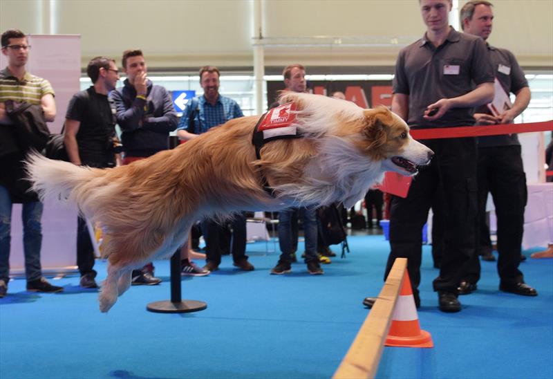 Timmy der Border Collie: a REAS 2015 la famosa mascotte di INTERSCHUTZ | Emergency Live