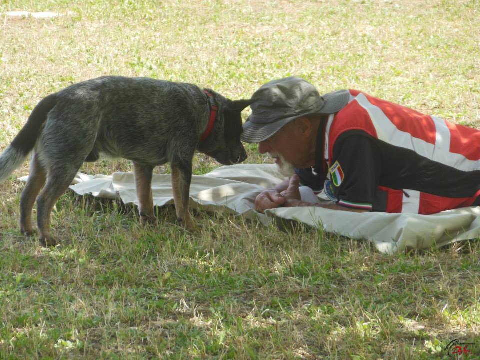 Addestramento cani da soccorso, se ne è andato Paolo Villani, lutto nel mondo cinofilo | Emergency Live 4