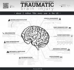 L'infografica realizzata da Tommaso