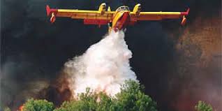 Caldo e vento, in Sardegna tornano le fiamme | Emergency Live