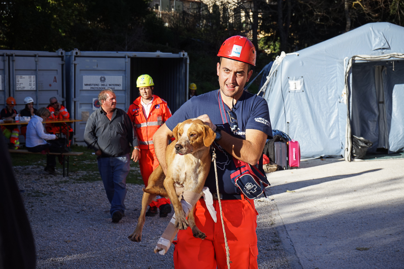 Terremoto Centro Italia: l’assistenza e il soccorso dei volontari | Emergency Live 1
