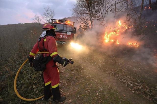 Incendi boschivi, Carabinieri e Vigili del Fuoco insieme per gestire l’emergenza | Emergency Live