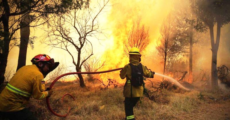 Incendi, l'emergenza non cala. 430 richieste di intervento dal 15 giugno ad oggi: è record | Emergency Live