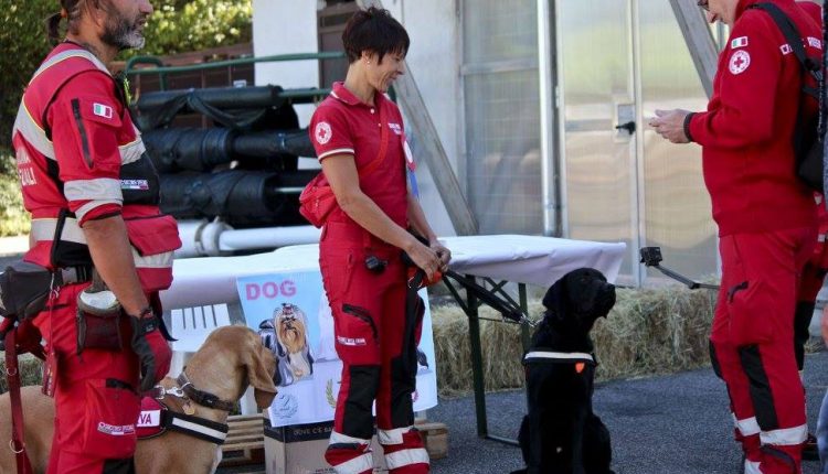 "MiFido" - Arriva il progetto dell' Unità Cinofila della CRI di Bassa Sabina. Un mix di amore e soccorso. | Emergency Live