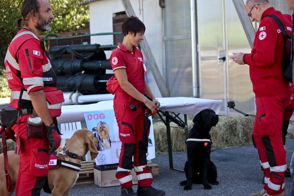 "MiFido" - Arriva il progetto dell' Unità Cinofila della CRI di Bassa Sabina. Un mix di amore e soccorso. | Emergency Live