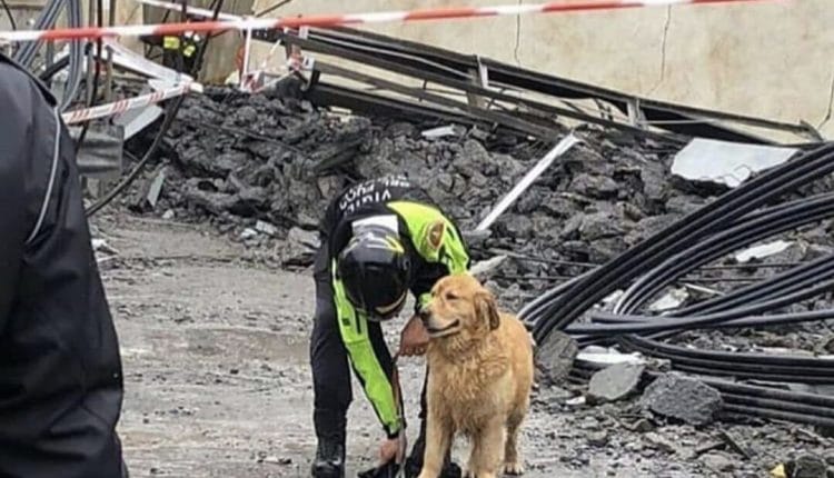 Buon ferragosto a tutti i soccorritori | Emergency Live