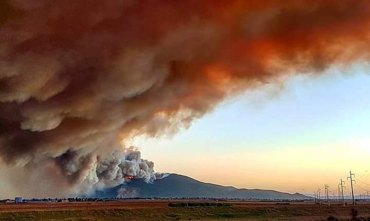 Pisa, l'emergenza incendi continua. Sui monti è ancora attivo il servizio di emergenza | Emergency Live 5