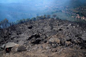 Calci, incendio del monte Serra