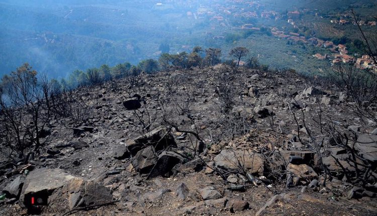 Sporchi, stanchi, ma AIB. Incendio del monte Serra, il racconto di chi c'è stato | Emergency Live 1