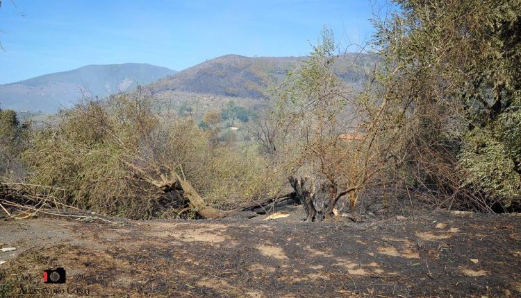 Sporchi, stanchi, ma AIB. Incendio del monte Serra, il racconto di chi c'è stato | Emergency Live 3