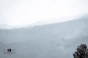 Calci, incendio del monte Serra