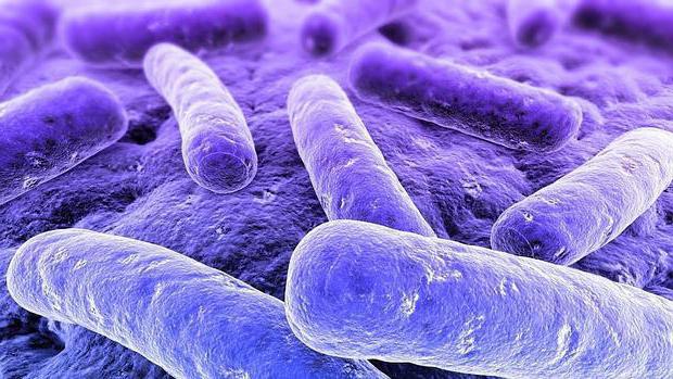 Warning sulla clorexidina: ombre sul business del disinfettante | Emergency Live