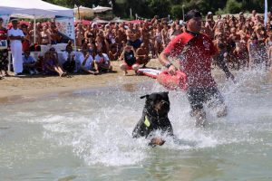 I cani da salvataggio acquatico in Italia | Emergency Live 6