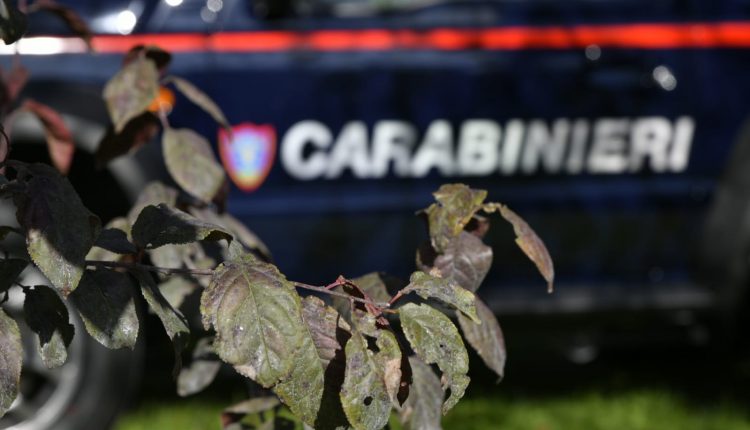 Suzuki Jimny, il 4x4 süper uyumlu giriş nell'Arma dei Carabinieri | Acil Durum Canlı 5