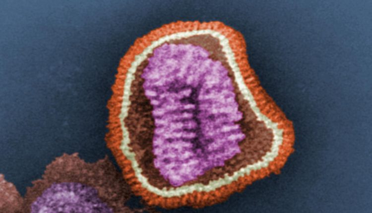 Rischio biologico in ambito sanitario: protezione dall'influenza | Emergency Live 1