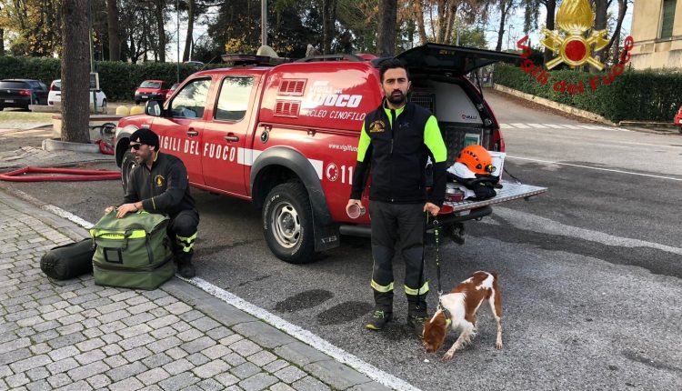 Terremoto in Albania, Protezione Civile e SAR in azione. Centinaia i dispersi | Emergency Live 13