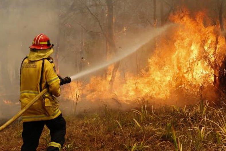 Australia, firefighters impegnati senza sosta: Snowy Mountains in stato di emergenza | Emergency Live