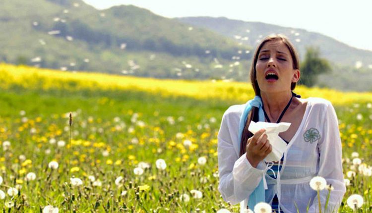 Coronavirus: le allergie ai pollini non sono un fattore di rischio, alcune forme di asma invece possono aggravare la malattia | Emergency Live