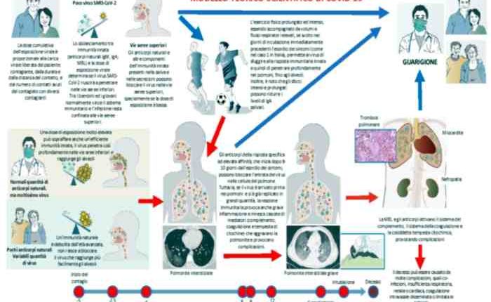 COVID-19, l’Istituto Superiore di Sanità: l’esito dell’infezione si decide nei primi 10-15 giorni dal contagio | Emergency Live