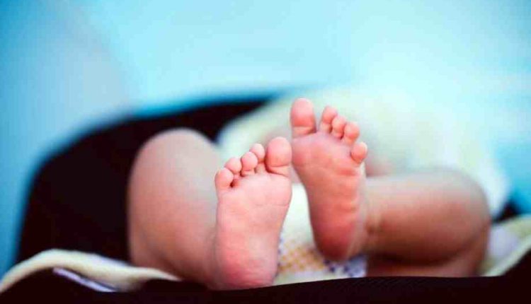 Giappone, eseguito primo trapianto di cellule staminali su un neonato con patologie epatiche al mondo | Emergency Live