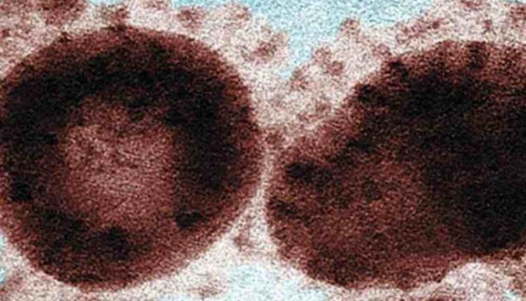 Coronavirus, non solo malattie respiratorie: tra i sintomi anche diarrea e dissenteria intestinale | Emergency Live