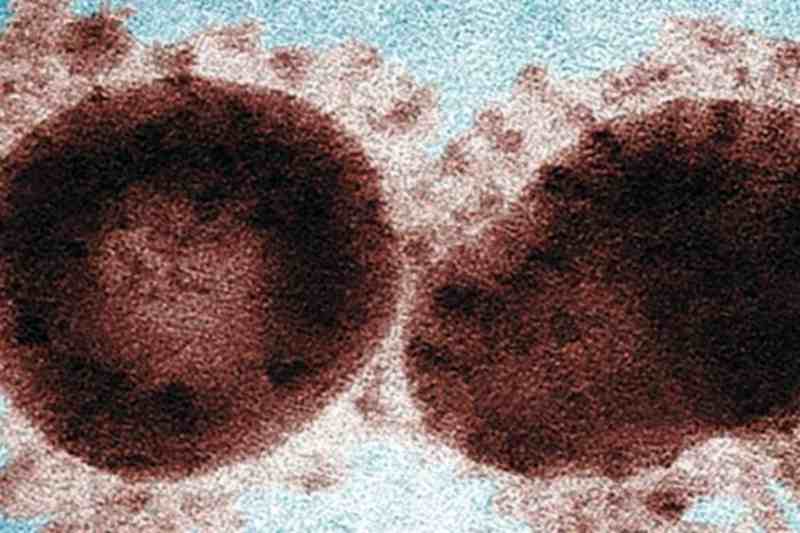 Coronavirus, non solo malattie respiratorie: tra i sintomi anche diarrea e dissenteria intestinale | Emergency Live