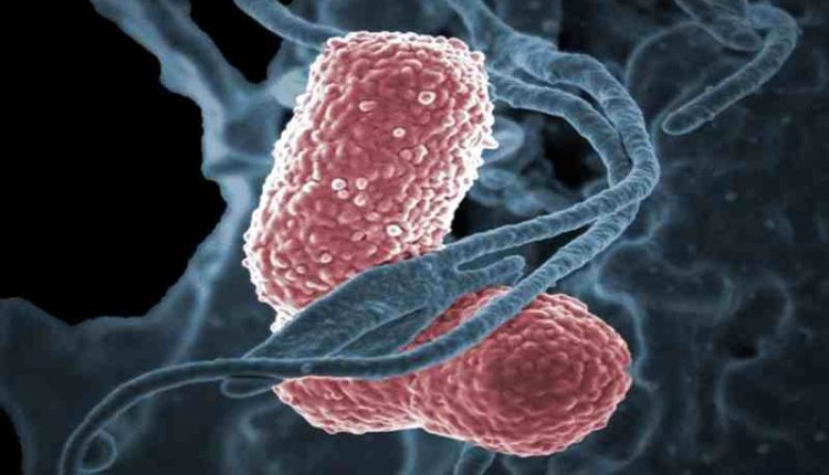 U.S.A., l’ FDA approva antibiotico per trattamento della polmonite batterica da ospedalizzazione e da ventilazione | Emergency Live