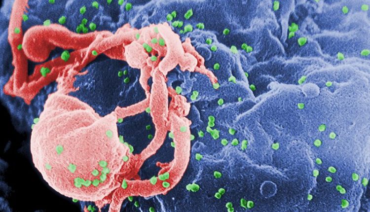 FDA approva un nuovo trattamento per l’HIV: Fostemsavir è retrovirale su pazienti multitrattati senza successo | Emergency Live