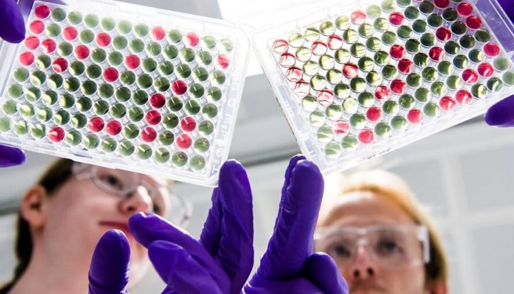 COVID-19, A.D. Irbm: riprende la sperimentazione del candidato vaccino Oxford-AstraZeneca | Emergency Live