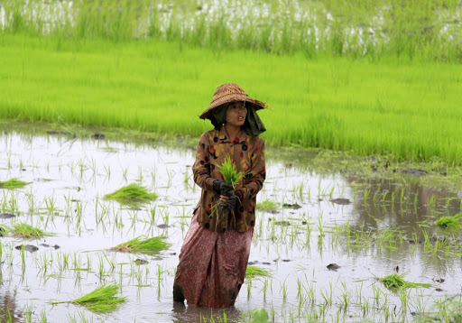 Myanmar, dalla Cooperazione Italiana 400mila euro per il benessere delle donne: il progetto “Women and girls first” dell’Unfpa | Emergency Live